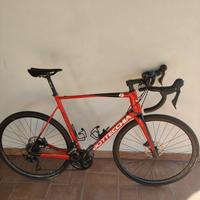 bici corsa Bottecchia 8avio 2024 taglia 58
