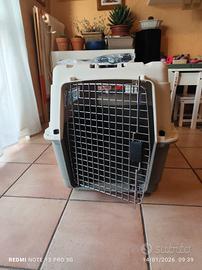 Kennel plastica e acciaio