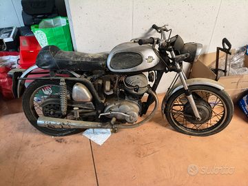 MV Agusta 250 Bicilindrica (1970) RARA