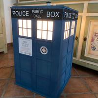 Maxi Tardis