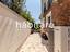 Immagine 7