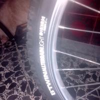 bicicletta bambino 
