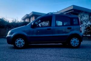 Panda 1.3 multijet
