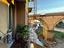 Immagine 22