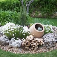 Rocce ornamentali