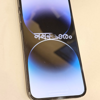 14 Pro Max 256 GB usato