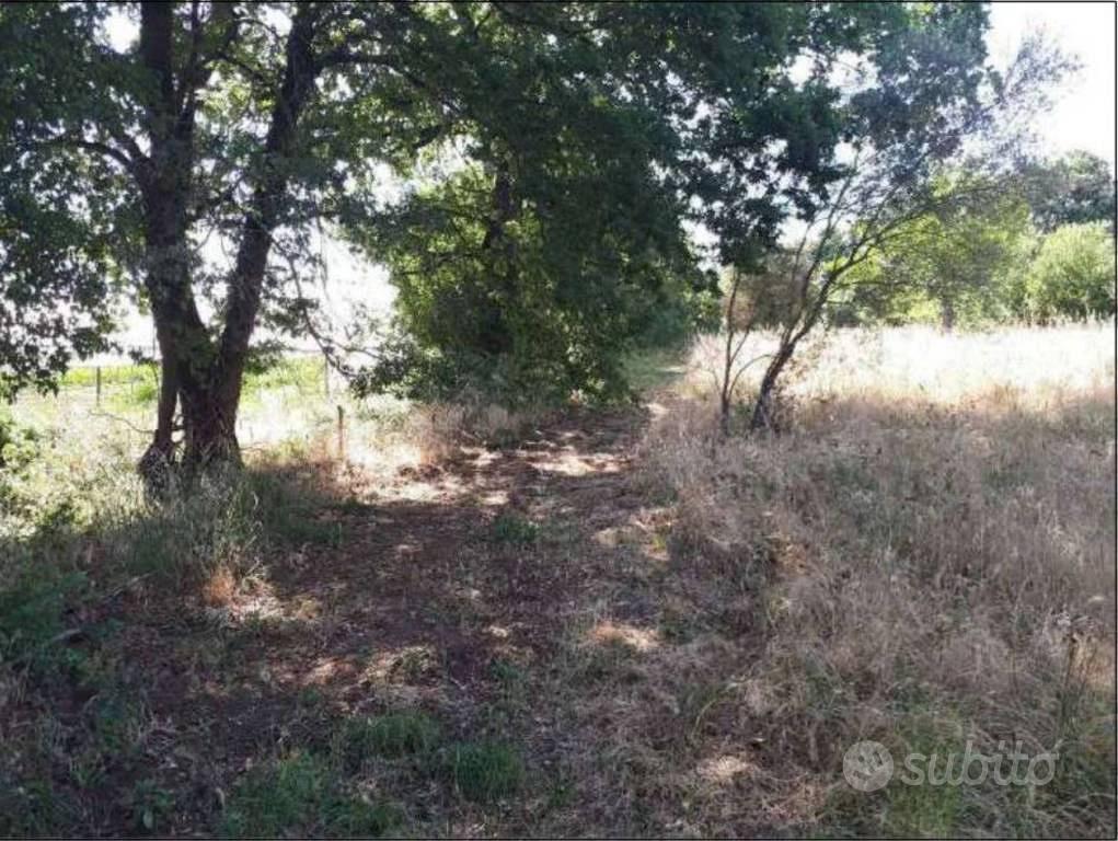 Immobile in asta di 15320 m² a Nepi - Vista 2