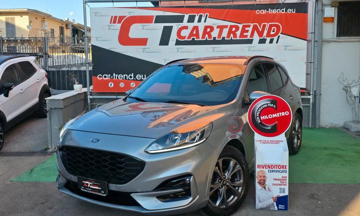 Ford Kuga 1.5 EcoBlue 120 CV aut. 2WD ST-Line