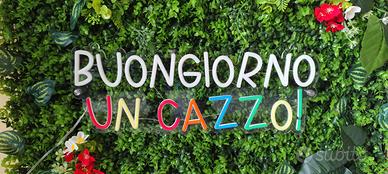 🌟 Insegna luminosa da interno 🌟