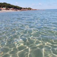 Trinità d'agultu bilo a prezzi buoni. Privato