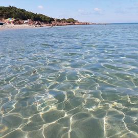 Trinità d'agultu bilo a prezzi buoni. Privato