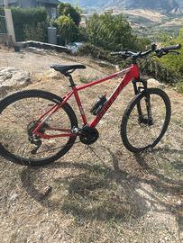 mountain bike