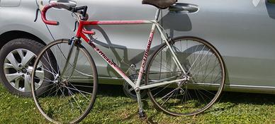 Moser 51.151