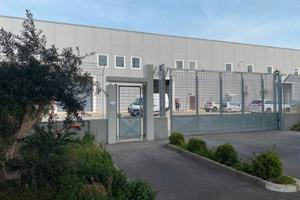 Capannone industriale indipendente