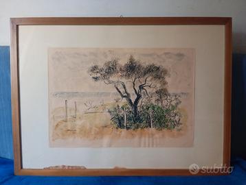 Quadro, artista D'Angelo, acquerello e china su ca