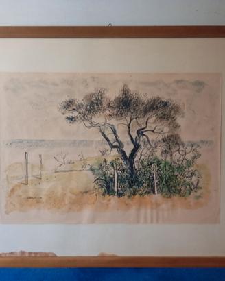 Quadro, artista D'Angelo, acquerello e china su ca