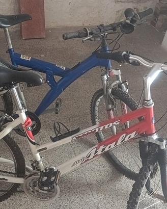 Coppia di biciclette uomo/donna 