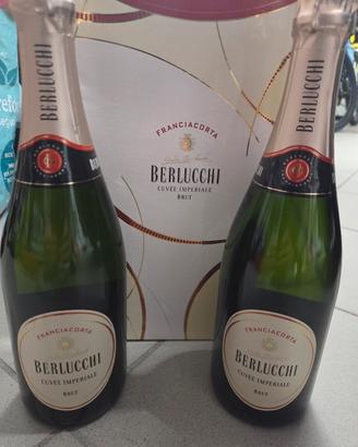 spumante berlucchi