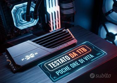 SSD M2 da 1TB con dissipatore, poche ore, testato