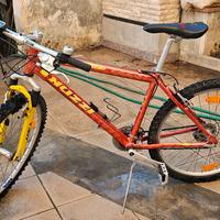 Bicicletta NUZZI Mtb