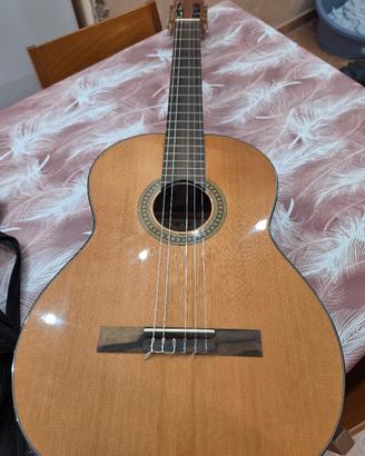 Chitarra Acustica 