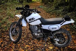 Leggi tutto xt 600 3tb