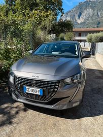 Peugeot 208  101cavalli