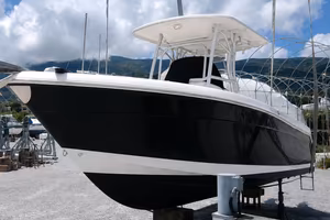 Robalo R260 - Fisherman R 260