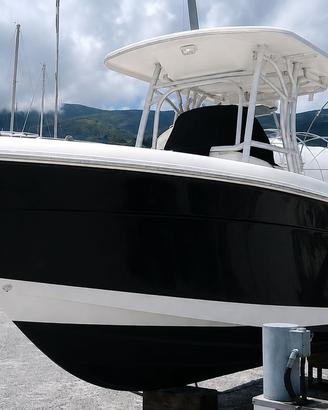 Robalo R260 - Fisherman R 260