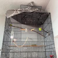 Voliera grande 90x75  cm completa di accessori