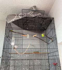 Voliera grande 90x75  cm completa di accessori