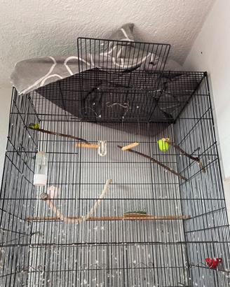 Voliera grande 90x75  cm completa di accessori