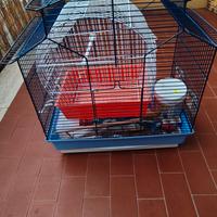 gabbia per uccelli 