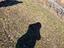 Immagine 8