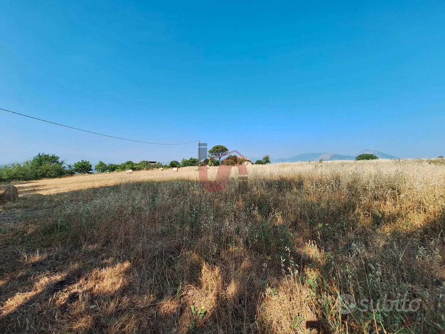 TERRENO AGRICOLO - Contrada le Murate - BENEVENTO - Vista 4