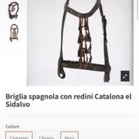 Testiera spagnola Catalona el Sidalvo
