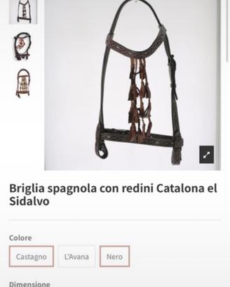 Testiera spagnola Catalona el Sidalvo
