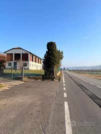 Magazzino Asti - Alessandria