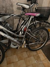 Mountain  Bike Coppi