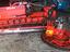 Immagine 5