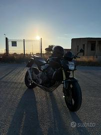 Hornet 600