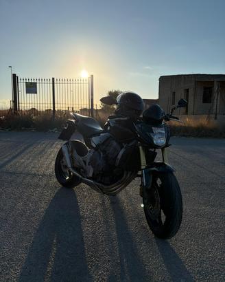 Hornet 600