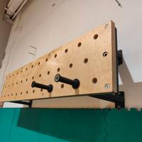peg board lacertosus