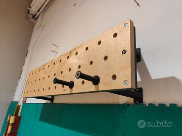 peg board lacertosus