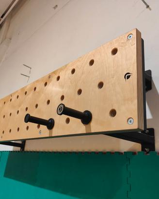 peg board lacertosus