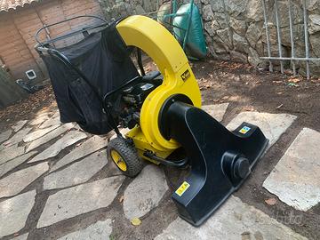 Asprira foglie motore