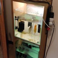 Batteria da riproduzione