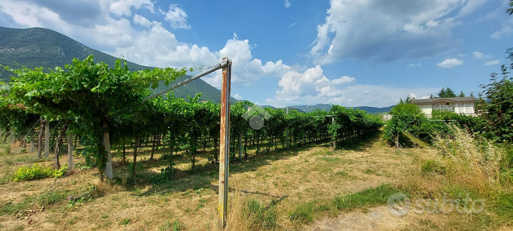 TER. AGRICOLO A CAPRINO VERONESE - Vista 2