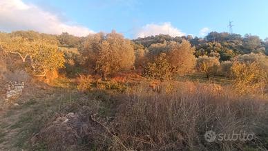 Terreno agricolo