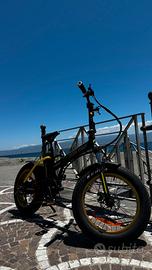 Bici elettrica 250w